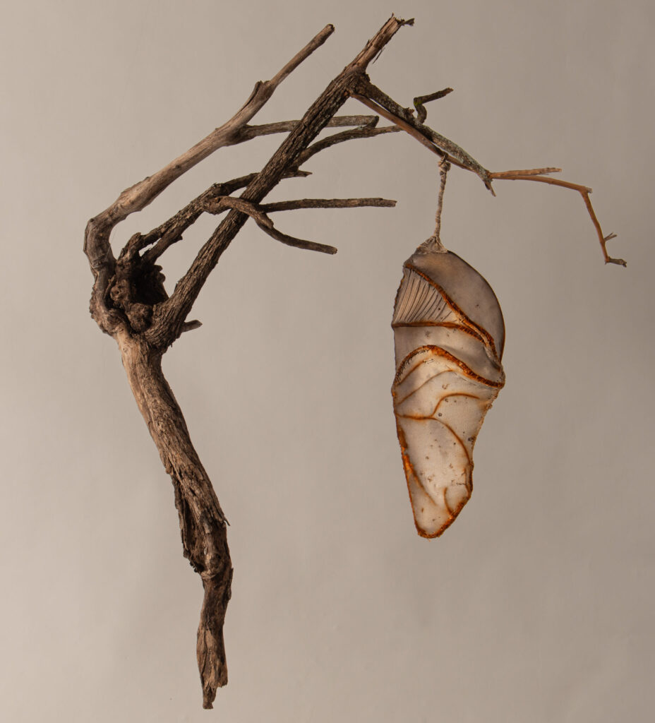 Angled view of fabric vessel on root showing wire wrapping detail and oxidation patterns on cloth edges