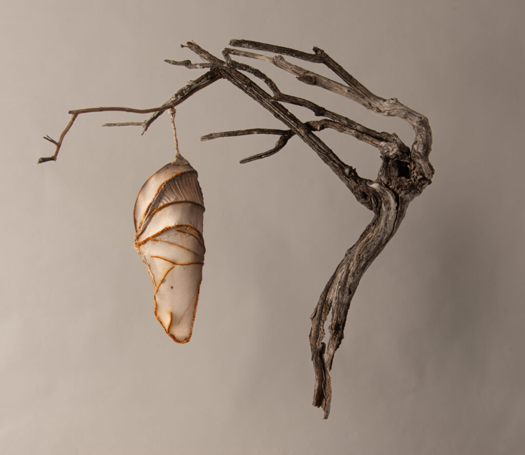 Weathered looking chrysalis sculpture made from rusted wire and a white T-shirt suspended from a twisted and exposed weathered root. The composition forms an inverted traingle, creating a feeling of precarious balance hanging by a thread, exposed to the elements. The entire sculpture is rendered in earth tones, rust browns, stained white cotton, grayed wood.
