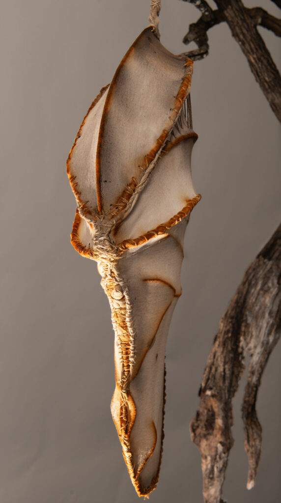 Angled view of fabric vessel on root showing wire wrapping detail and oxidation patterns on cloth edges