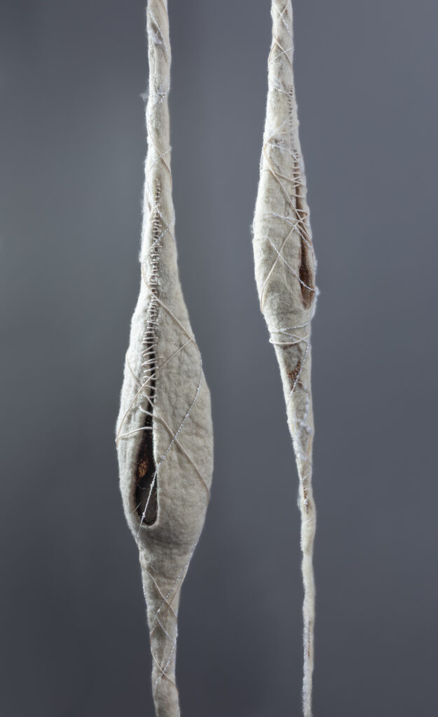 Close up of two felted wool pod forms against grey wall, wrapped in thread, dark interior objects barely visible.